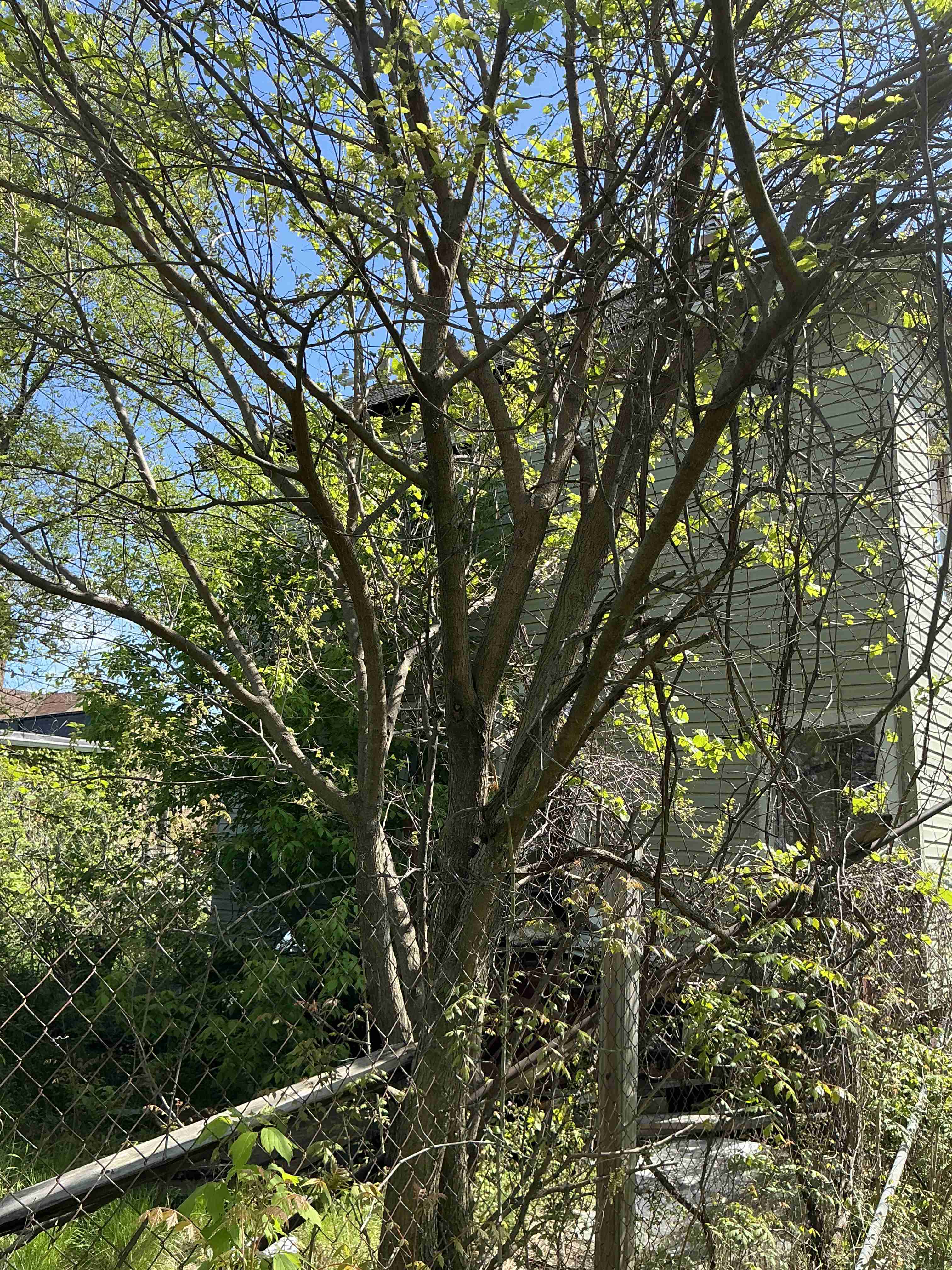 IMG_3667 (1).jpeg